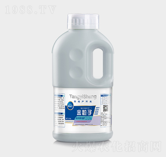 ���Ȍ����~���-������-�|չ�r(n��ng)�I(y��)