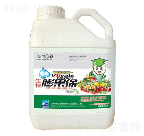 ���������-�A�����Z