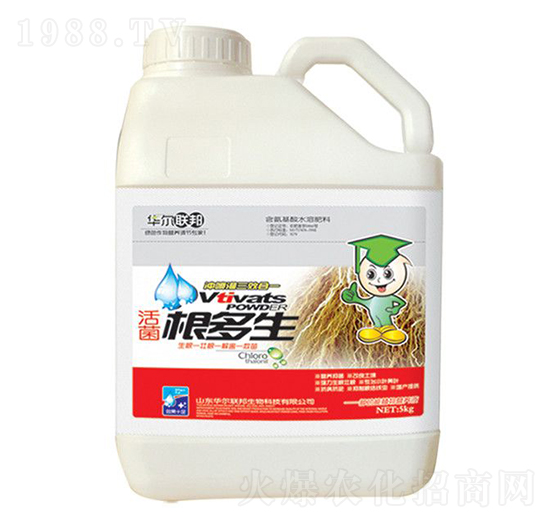 ���������-�A�����Z