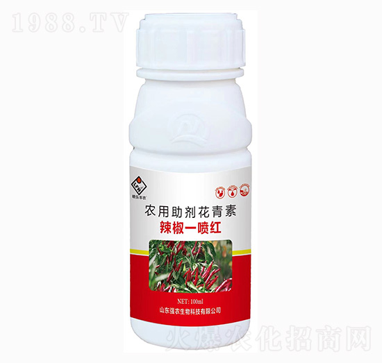 ����һ���t-���r