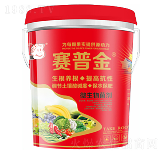 ΢�������-ِ�ս�-ϲ����