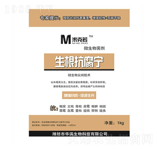 ����������-�A�I����