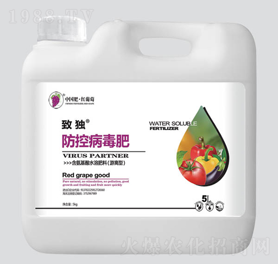 �ª�(d��)���ز�����-�t����