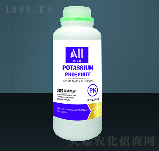 �������-�۠����B(t��i)