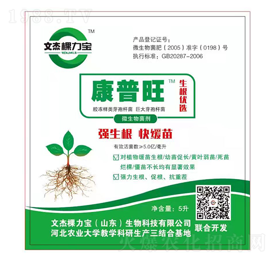 ΢�������-������-�Ľܿ�����