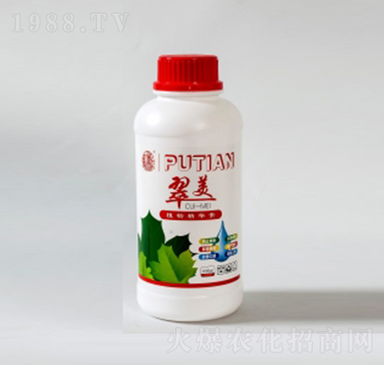 ����-����Ƽ�