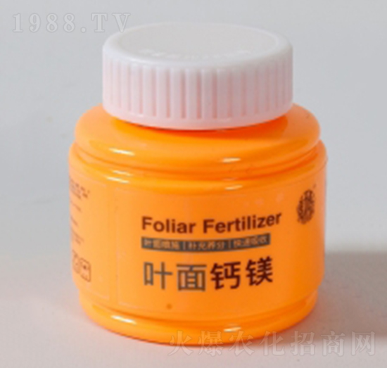 �~���}�V-����Ƽ�