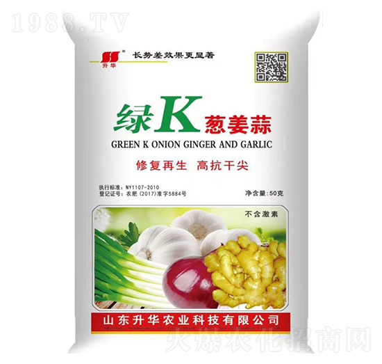 �GK���[���⌣�ã�-���A