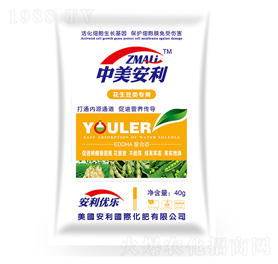 ���������-�֠�