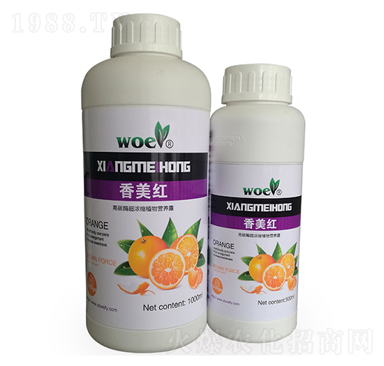 ��̼ø����sֲ��I�B(y��ng)¶-�����t-�֠�