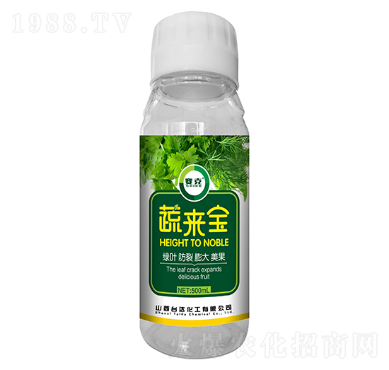 �߁팚-ِ��-�_�_(d��)�ʘI(y��)