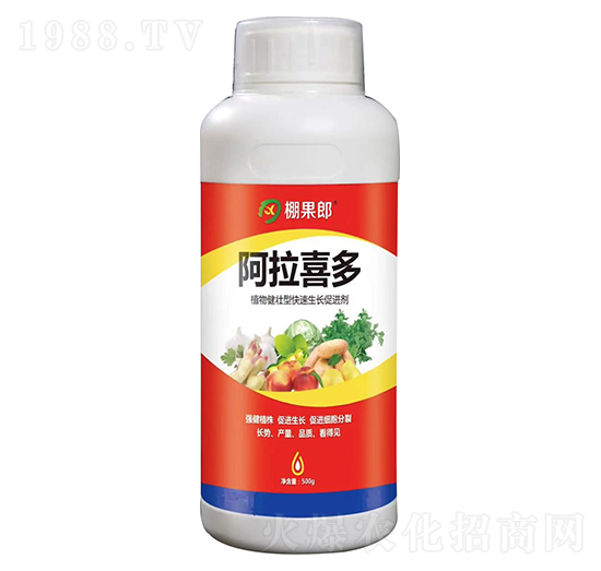 ֲ�｡���Ϳ������L(zh��ng)���M(j��n)��-����ϲ��-�r(n��ng)ϲ�r(n��ng)�I(y��)