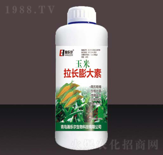 �������L(zh��ng)�����-嫘���