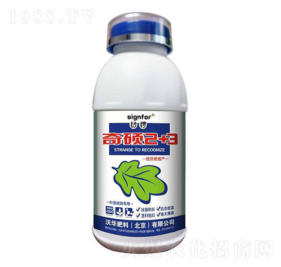 �~�懊ʩ����-��T2+3-���A����