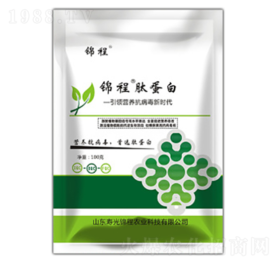 �ĵ���-�\���r(n��ng)�I(y��)