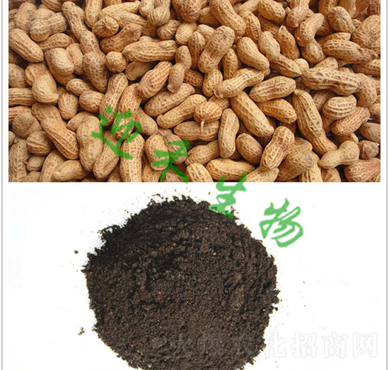 ������(zhu��n)�÷�-ӭ������