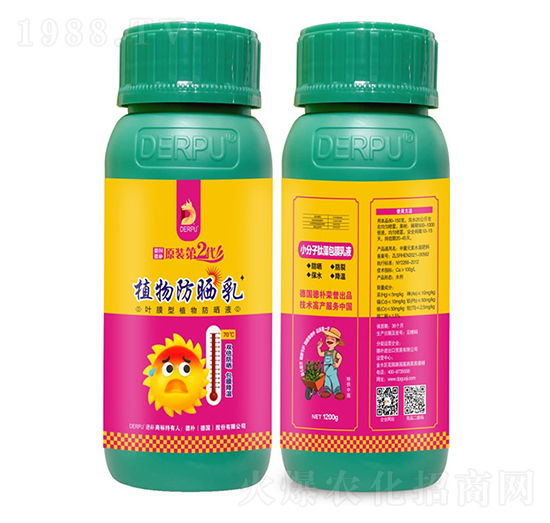 ֲ�������-��