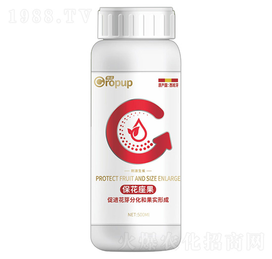 �̼����L��~���-���Z-�¶�����