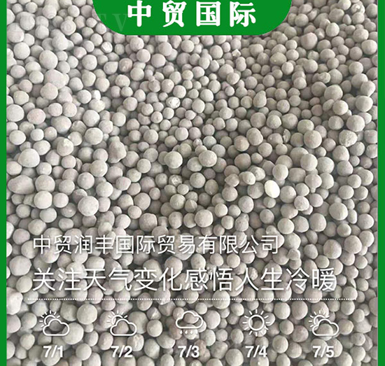 �����{�턩���w����