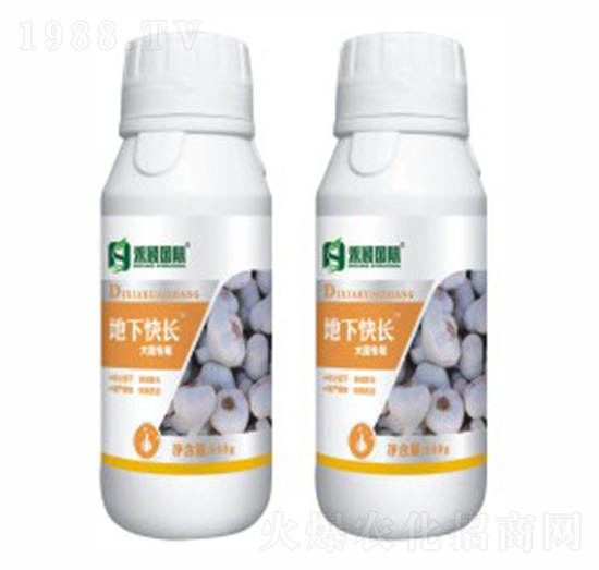 �����[���������~���-���¿��L-�̷f����