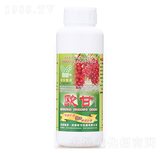 500ml�W��-����ֲ��Դ�������