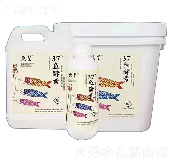 37���~����-�~��-ʢ���κ�