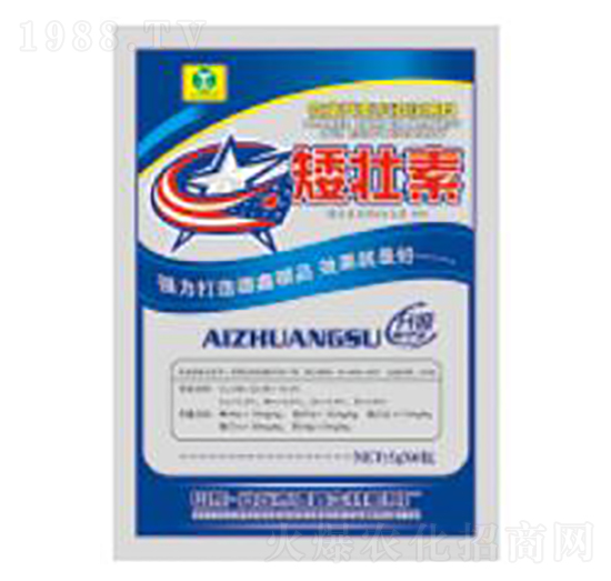 ������5g-��������