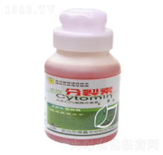 ������-��������