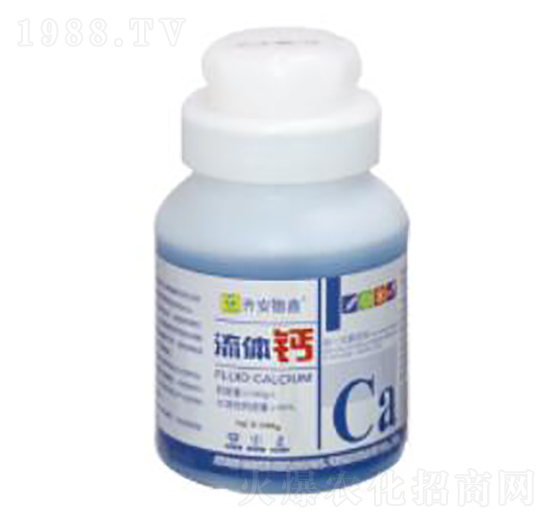 ���w�}-��������