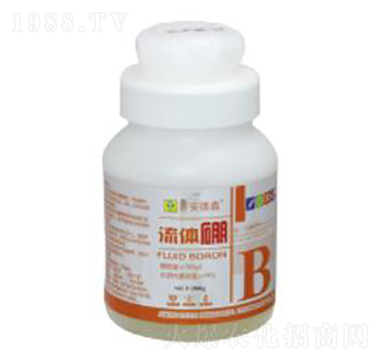 ���w��-��������