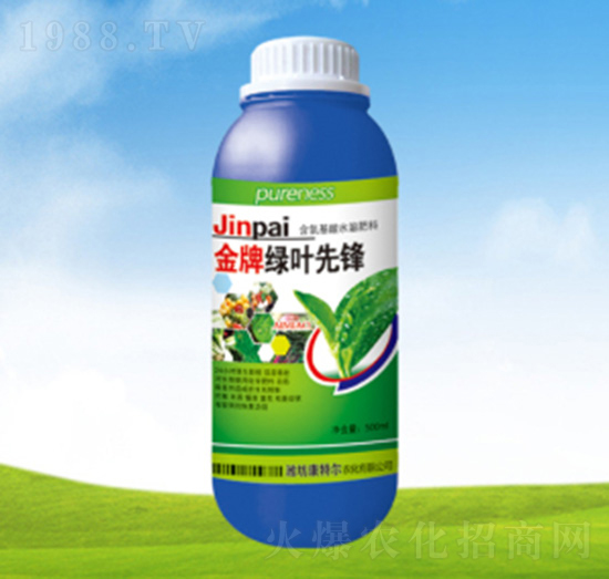 �G�~���h�~���-���ؠ��r��