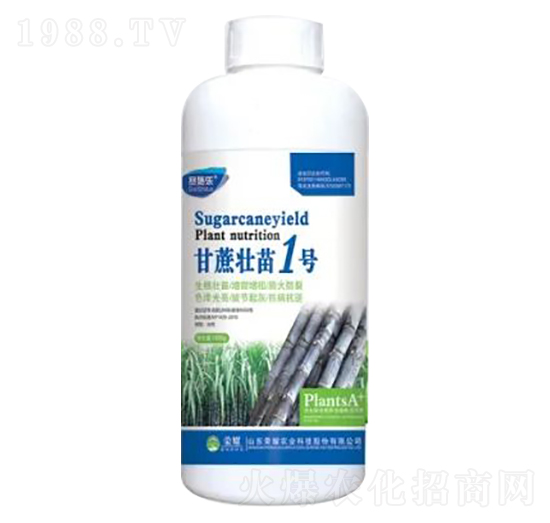1000g�������1̖(h��o)-�sҫ�r(n��ng)�I(y��)