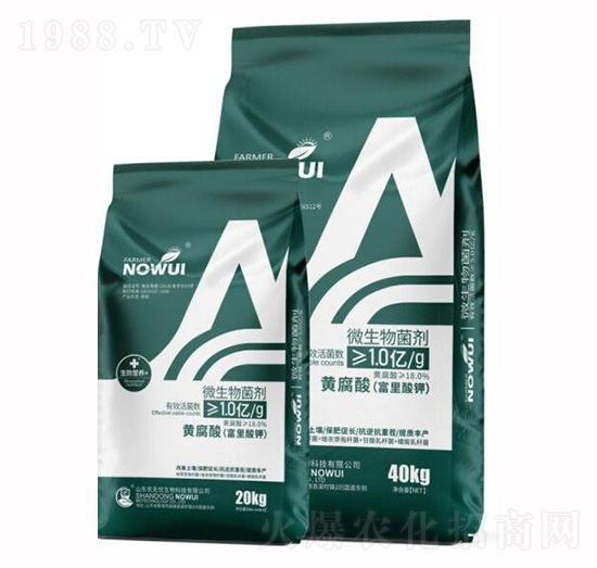 ΢�������-�S����(�������)-�r(n��ng)�o(w��)�n