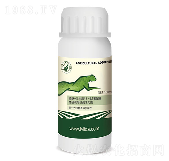 ��-1,3�Ͼ���-���}�����-�G���_