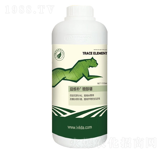 �Ǵ���-���}��S��-�G���_