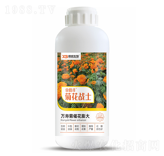 �f(w��n)�۾մ߻����-�ջ���(zh��n)ʿ-����S-�ذ�����