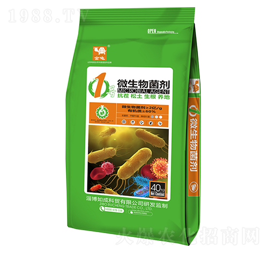 1̖΢�������-����-���{(l��n)����