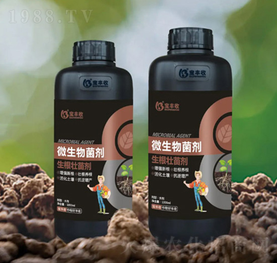 ΢�������-�������焩-���S��