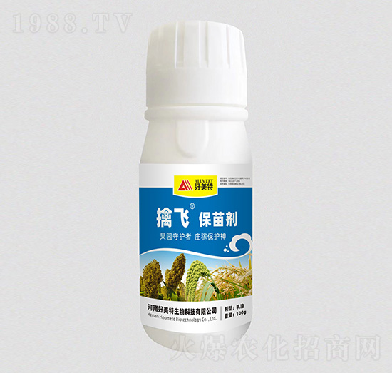 100g���w���焩-������