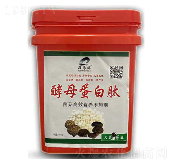 ��ĸ������-����ý-���_(d��)����