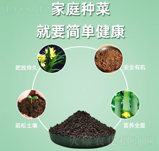 �F��΢�����-�����ʘI(y��)