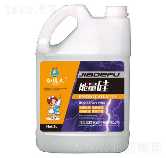 ������-�ӵ·�-��Ⱥ�r(n��ng)�I(y��)