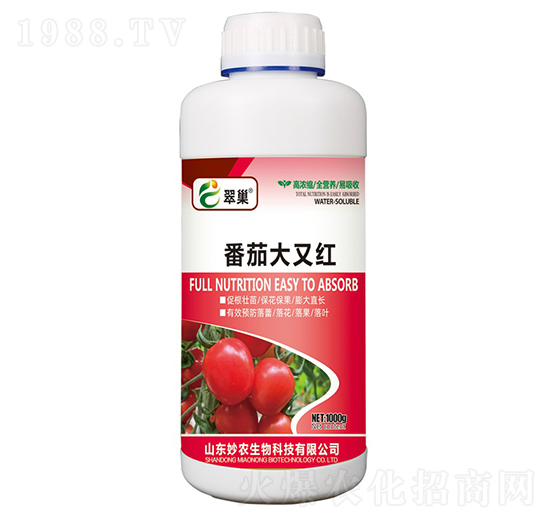 ���Ѵ��ּt-�䳲-���r(n��ng)����