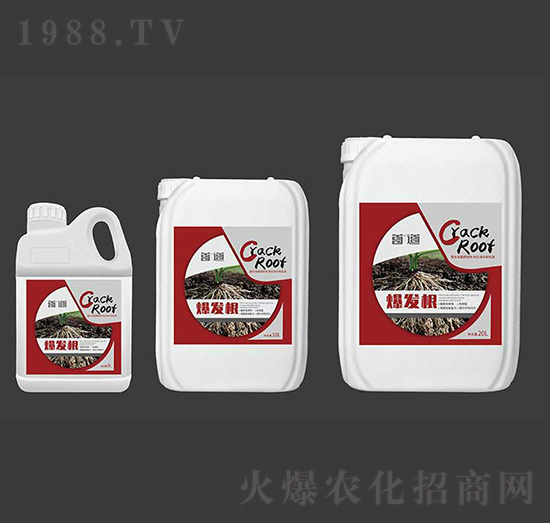 ���l(f��)��-�׵��r(n��ng)�I(y��)