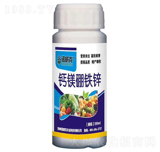 �}�V���F�\-�Z����