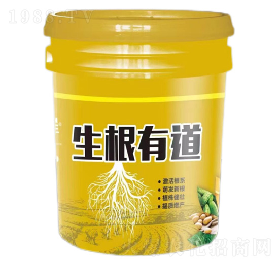 �����е�-�����S-��������