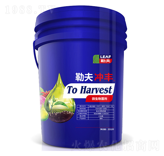 �շ�_�S�{Ͱ��-�շ�