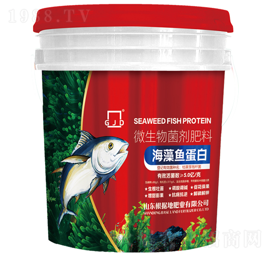 �����~����-����(j��)�طʘI(y��)