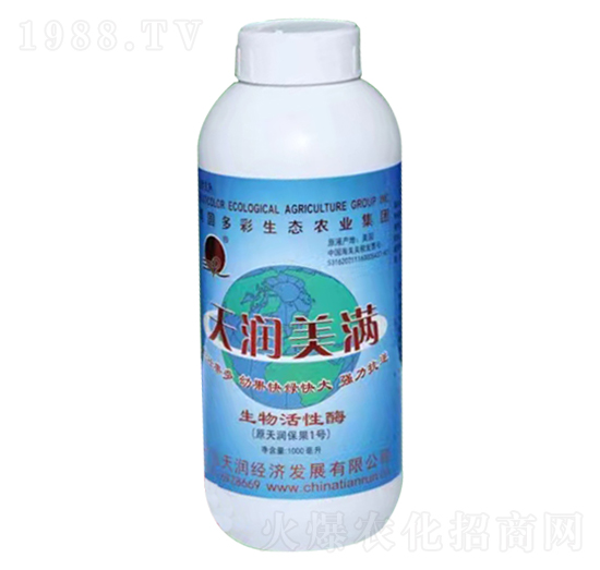 �������ø-�읙(r��n)���M-�V�|�읙(r��n)