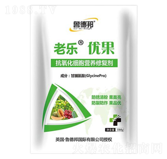 500g��������(x��)���I�B(y��ng)�ޏ�(f��)��-�Ϙ���(y��u)��-��?sh��)°? style=
